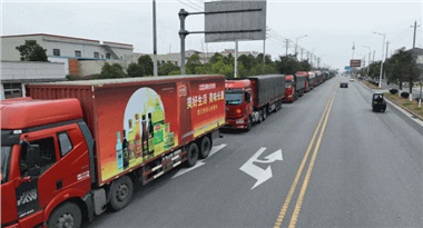 馬年“開門紅”！長康集團(tuán)首日訂單額突破3000萬元